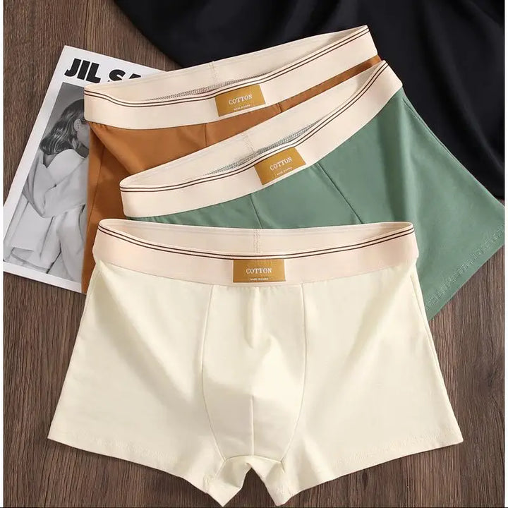 3 Pcs Men's Cotton Boxer Shorts